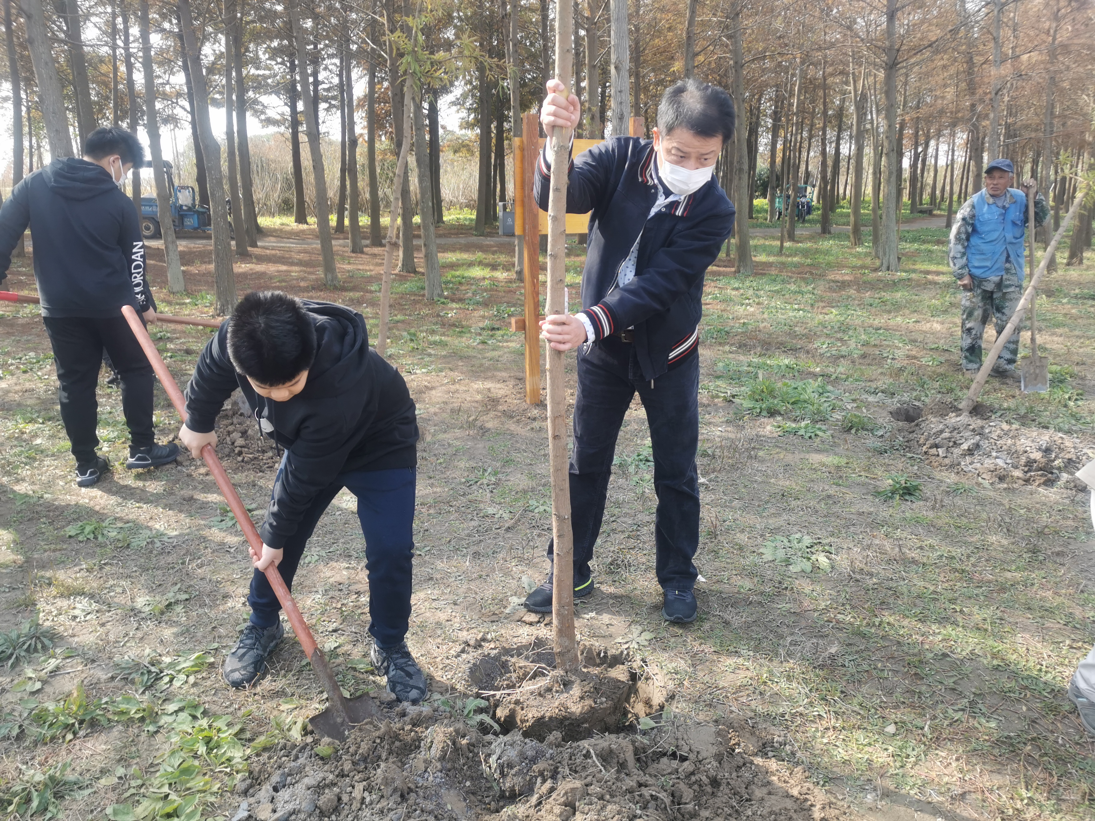 上海東灘濕地公園進行植樹活動。